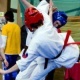 Oyama Karate zapisy na sezon 2010 Oyama Karate zapisy na sezon 2010